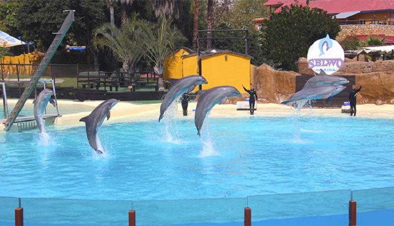 Paseo Maritimo Los Boliches. Fuengirola Esterno foto